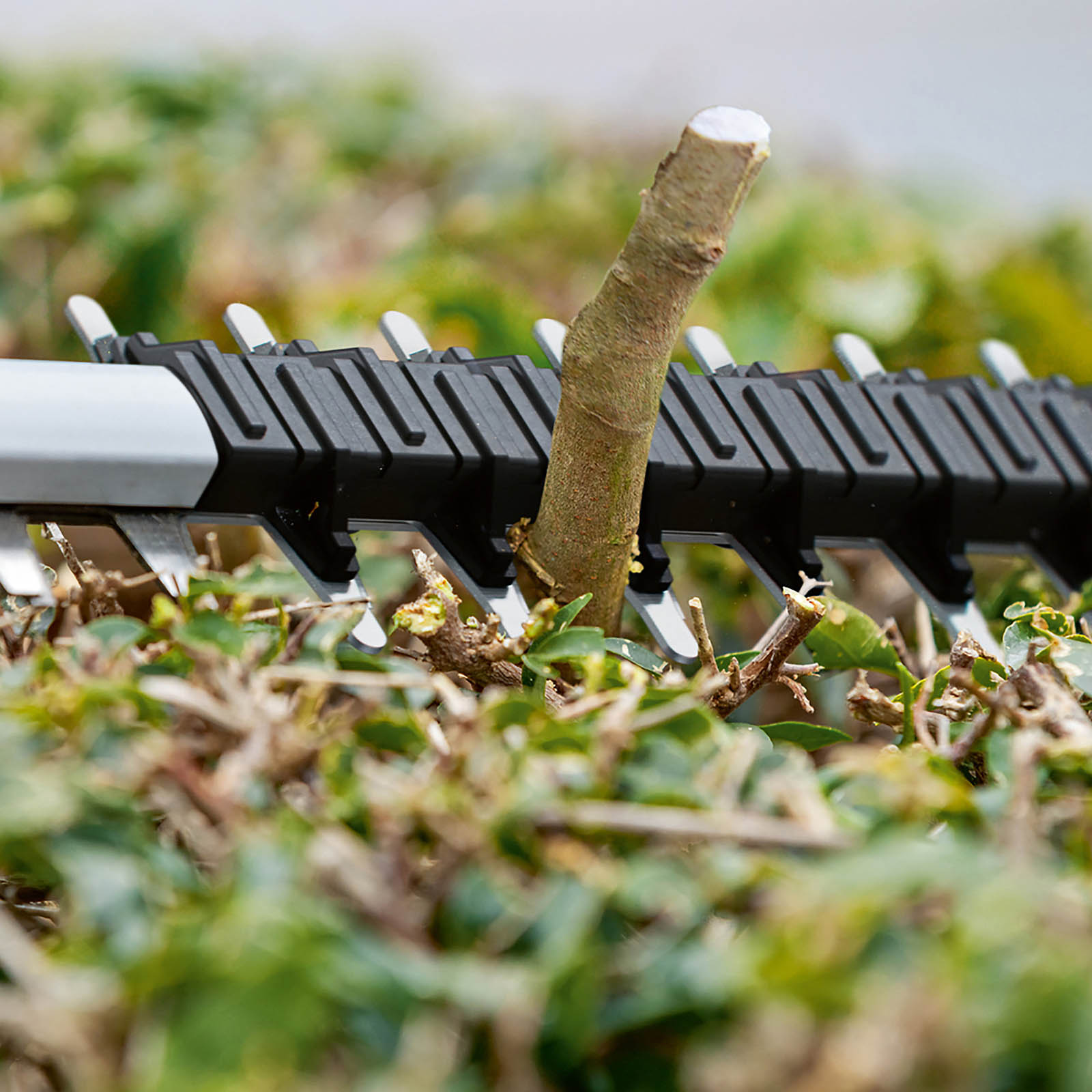 Bosch Hedge Trimmer Cordless 18V Li-Ion GHE18V-60 Garden 60cm Cutter Body Only - Image 7