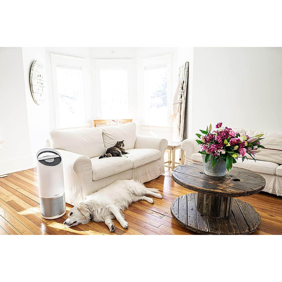 Leitz TruSens Air Purifier Z-2000 With SensorPod Air Quality Monitor White - Image 8