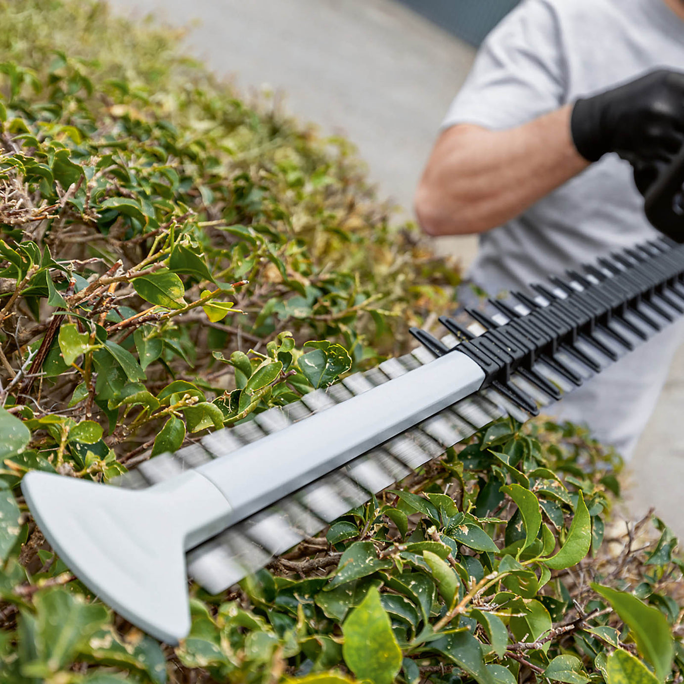 Bosch Hedge Trimmer Cordless 18V Li-Ion GHE18V-60 Garden 60cm Cutter Body Only - Image 4