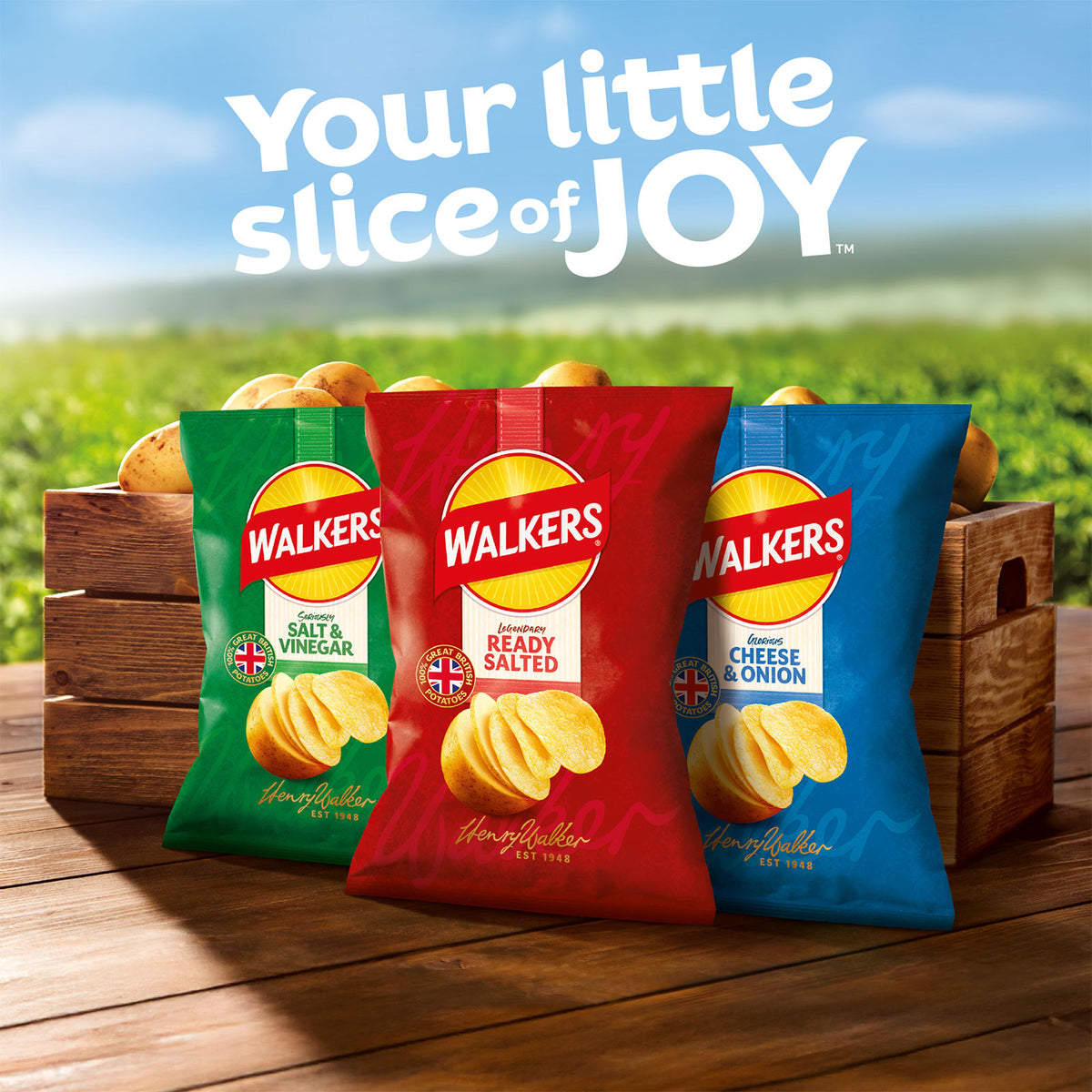 Walkers Crisps Salt & Vinegar Sharing Multipack Snacks 108x25g - Image 9