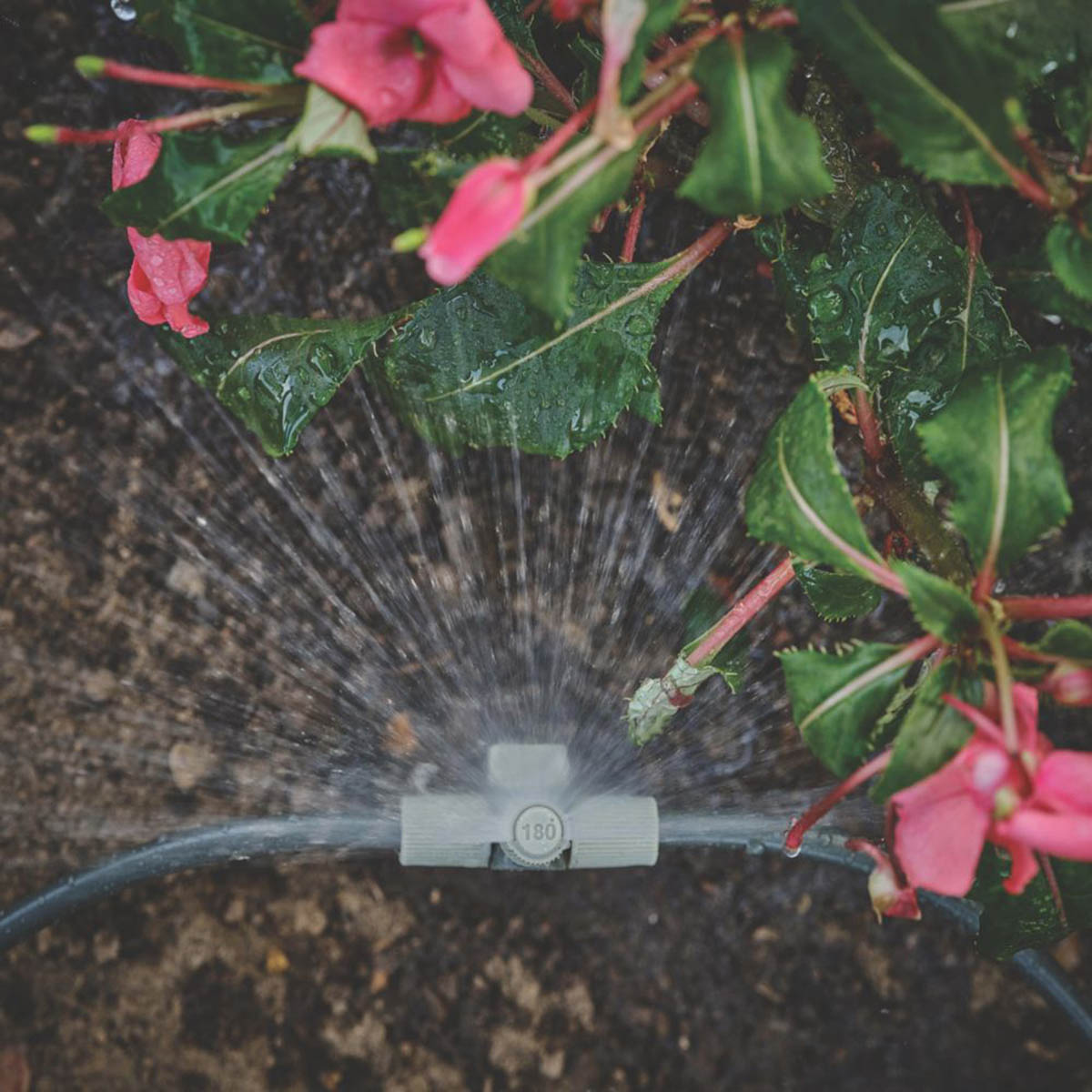Verve Irrigation Kit 360° Nozzles 4 Way Tap Stake Sprinkler System 62 Piece - Image 2